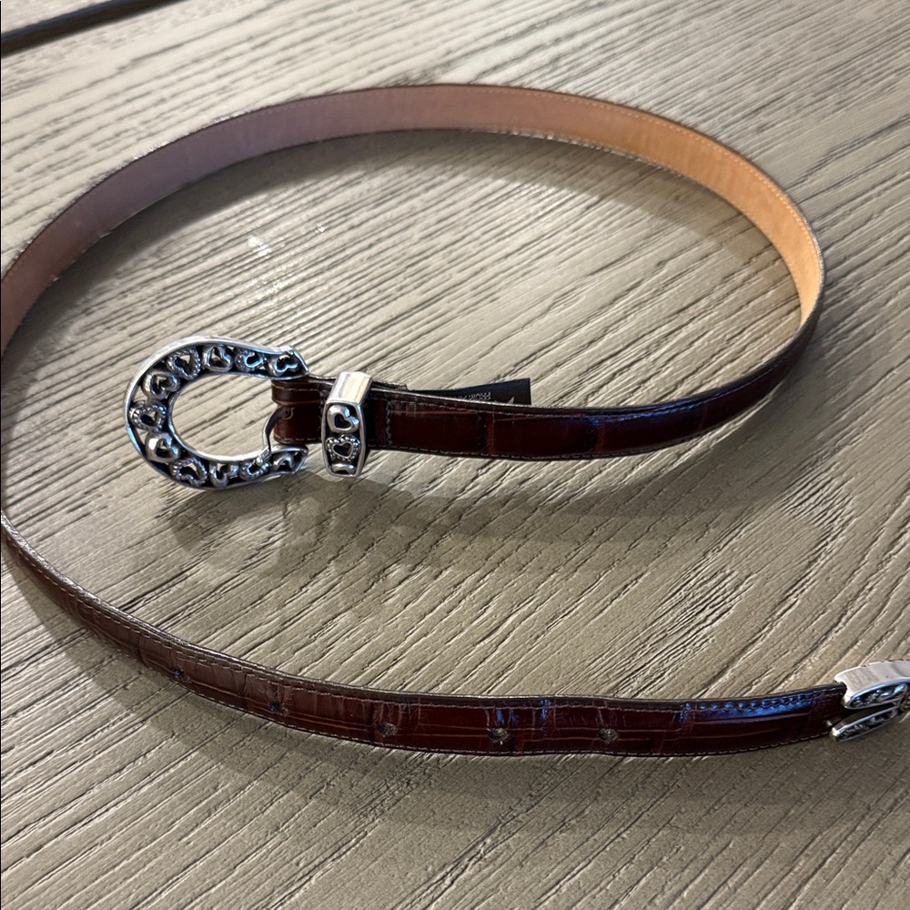 Brighton Dark Brown Belt with Silver AccentsL/34